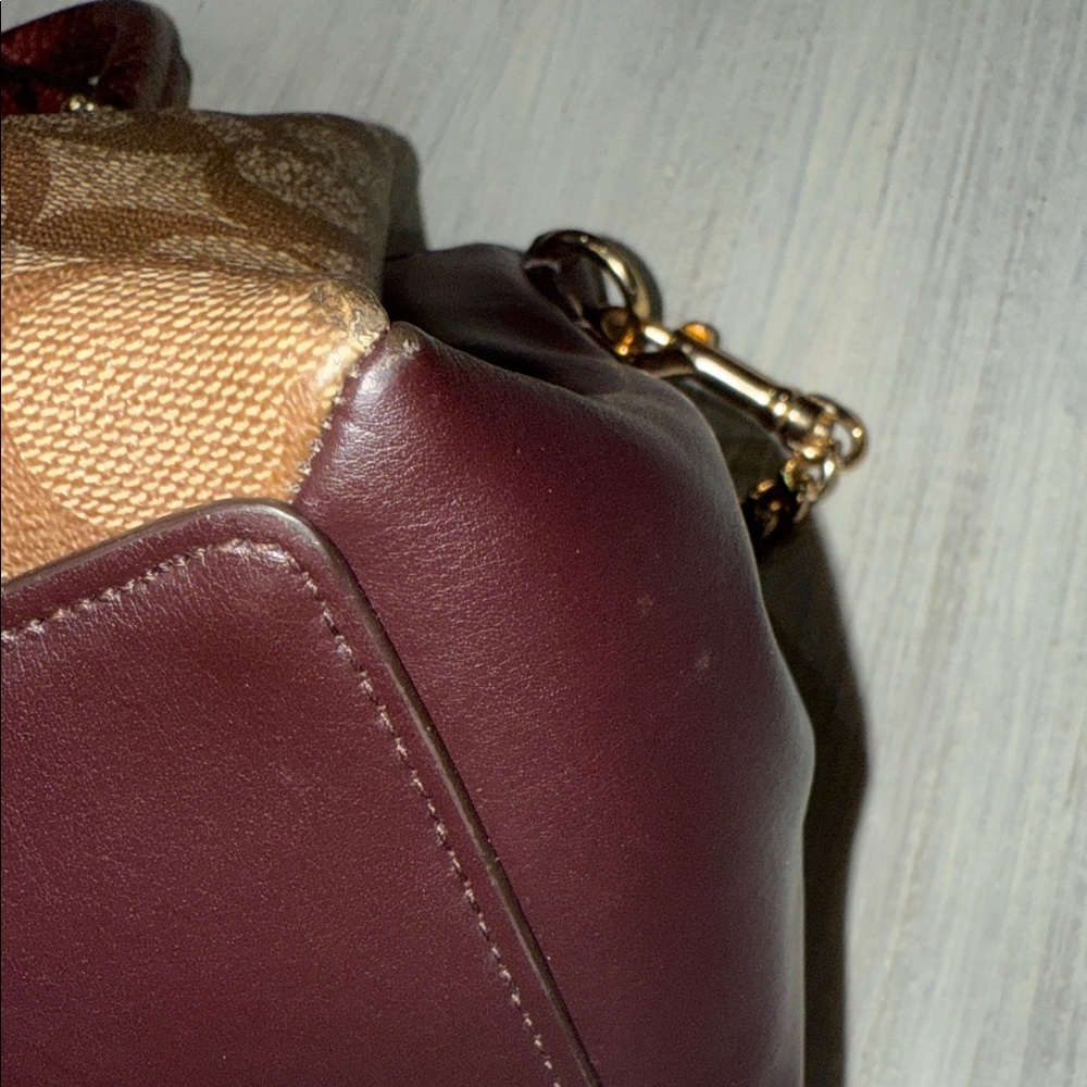 Coach Mini Rowan Sage Snake Carryall Satchel/Crossbody Bag π - Picture 14 of 14